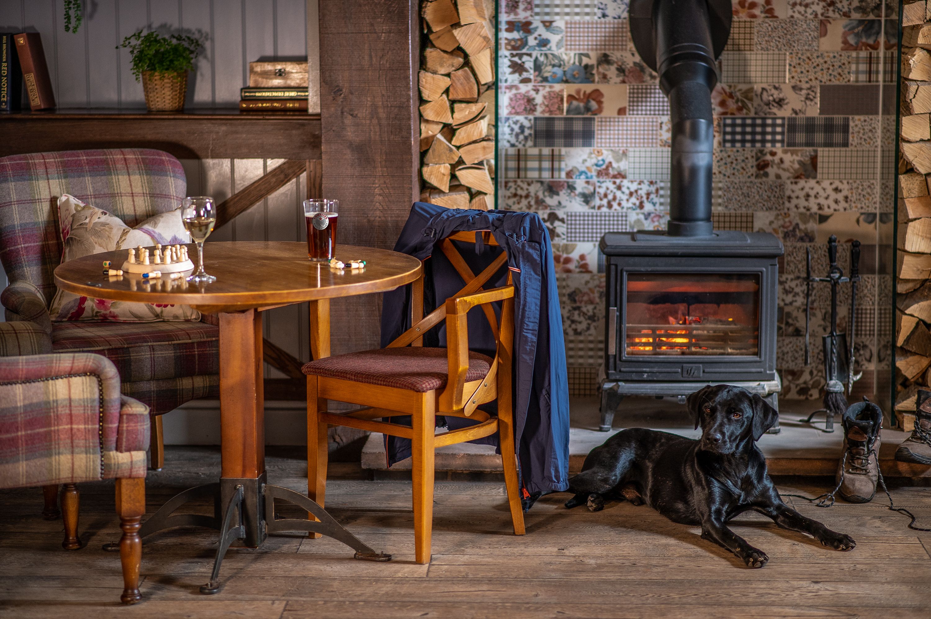 dog in front of fire
